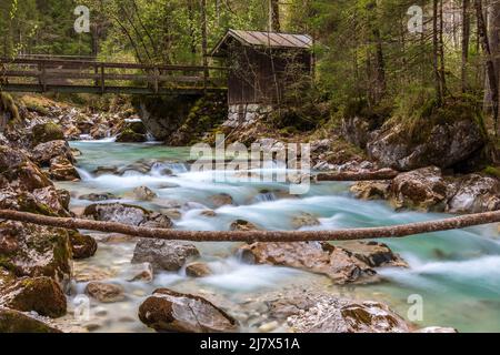 Dans le Zauberwald, forêt enchantée, au lac Hintersee près de Ramsau, Berchtesgaden, Bavière, Allemagne, Banque D'Images