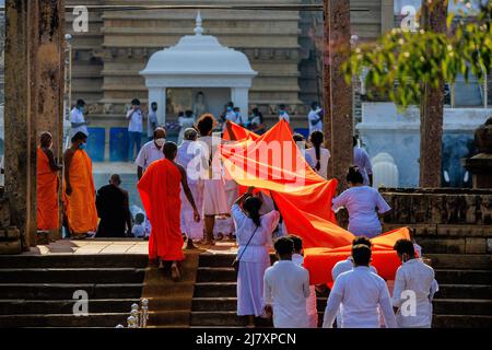 les moines bouddhistes vêtus d'orange et les adeptes vêtus de blanc apportent un rouleau de tissu orange pour habiller la mahathupa d'anuradhapura Banque D'Images