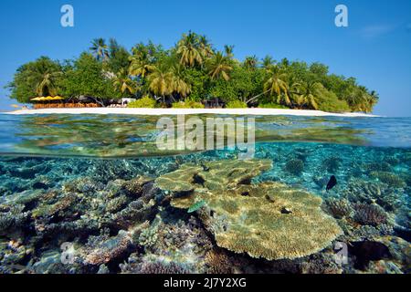 Image divisée, au-dessus, récif de corail en face d'une île des maldives, Maldives, océan Indien, Asie Banque D'Images