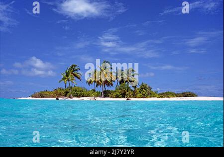 Petite île maldivienne inhabitée avec palmiers, plage et lagune, Maldives, océan Indien, Asie Banque D'Images