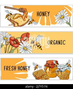 Ensemble de bannières ou d'étiquettes en miel, illustrations gravées en couleur dessinées à la main. Bannières ou étiquettes horizontales pour la conception et l'apiculture des emballages alimentaires, promotion apilaire Illustration de Vecteur