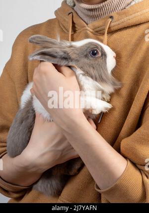 Une jeune femme porte un joli lapin moelleux dans ses bras. Le lapin effrayé s'accroché aux mains de la maîtresse. Amitié avec le lapin de Pâques. Banque D'Images