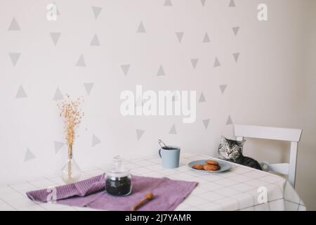 Mignon chat écossais droit à la maison. Petit déjeuner avec tasse de thé et biscuits sur la table. Intérieur du café moderne de chat. Style scandinave, concept hygge Banque D'Images