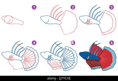 Instructions pour le dessin de betta. Étape par étape. Illustration de Vecteur