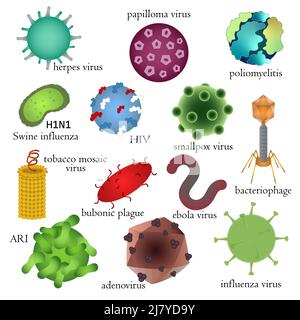 Ensemble de virus humains dangereux. Illustration médicale. Illustration de Vecteur