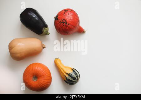 différents types de citrouilles et d'aubergines sur fond blanc. Photo de haute qualité Banque D'Images