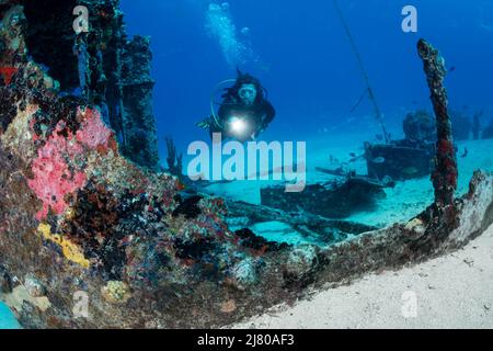 Diver sur le pont Divesite au large de l'île hollandaise des Caraïbes de Sint Maarten Banque D'Images