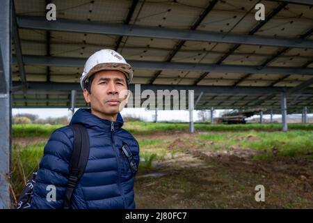 Homme inspectant une installation photovoltaïque, Sainte-Gemme, Charente-Maritime, Nouvelle-Aquitaine, France Banque D'Images