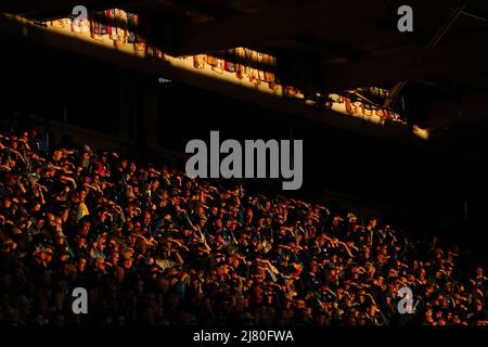 LEICESTER, ROYAUME-UNI. MAI 11th vue générale des supporters lors du match Premier League entre Leicester City et Norwich City au King Power Stadium, Leicester, le mercredi 11th mai 2022. (Crédit : Kieran Riley | INFORMATIONS MI) crédit : INFORMATIONS MI et sport /Actualités Alay Live Banque D'Images