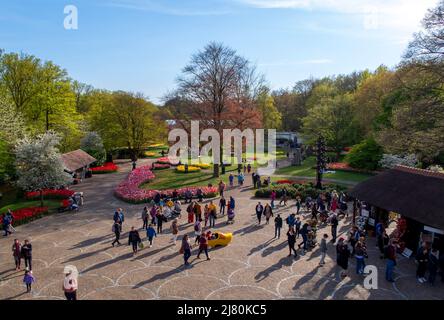 Le parc Keukenhof, alias le jardin d'Europe, est l'un des plus grands jardins fleuris du monde, situé dans la municipalité de Lisse, aux pays-Bas Banque D'Images