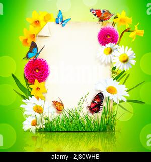 Aménagement créatif avec fleurs et papillons. Concept de printemps minimal. Banque D'Images