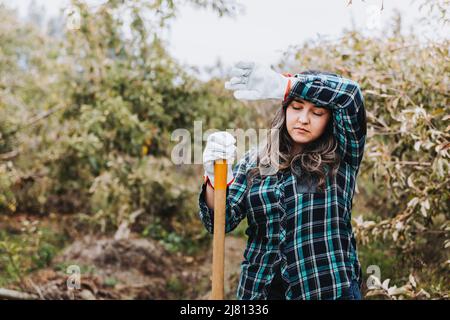 Une jeune femme paysanne latine fatiguée du travail dans la plantation de pommes, tenant une pelle. Occupation de la femme. Banque D'Images