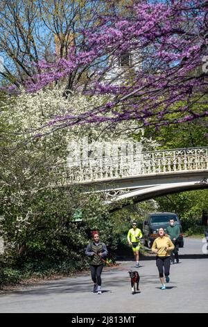 Le pont n° 27 de Central Park est magnifique au printemps, NYC 2022 Banque D'Images