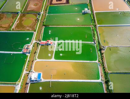 Photo aérienne de fermes de crevettes à proximité de la digue de mer dans les zones côtières de Giao Thuy Dist. Namdinh, Vietnam. Banque D'Images