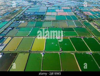 Photo aérienne de fermes de crevettes à proximité de la digue de mer dans les zones côtières de Giao Thuy Dist. Namdinh, Vietnam. Banque D'Images