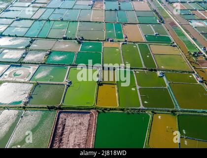 Photo aérienne de fermes de crevettes à proximité de la digue de mer dans les zones côtières de Giao Thuy Dist. Namdinh, Vietnam. Banque D'Images