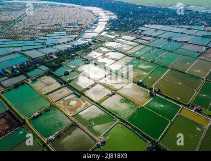 Photo aérienne de fermes de crevettes à proximité de la digue de mer dans les zones côtières de Giao Thuy Dist. Namdinh, Vietnam. Banque D'Images