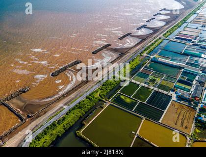 Photo aérienne de fermes de crevettes à proximité de la digue de mer dans les zones côtières de Giao Thuy Dist. Namdinh, Vietnam. Banque D'Images