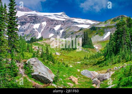 Mont Rainier avec un pic enneigé lors d'une belle journée ensoleillée, Washington, Etats-Unis Banque D'Images