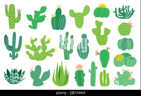 Usine de Cactus. Caricature décorative exotique succulente, plante tropicale du désert. Ensemble isolé d'aloès mexicain vectoriel Illustration de Vecteur