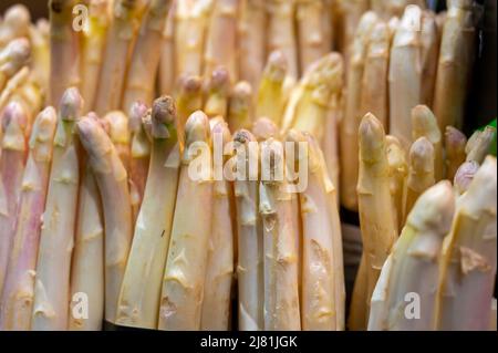 Petits pains d'asperges blanches à vendre sur le marché, aliments de saison, gros plan Banque D'Images