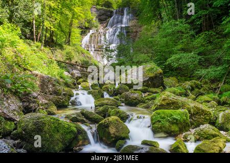 Grande vue sur la Cascade du Herisson en France, Europe Banque D'Images