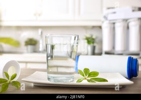 Verre d'eau purifiée avec équipement domestique et filtres sur table et cuisine en arrière-plan avec équipement osmotizer. Vue avant. Co. Horizontale Banque D'Images