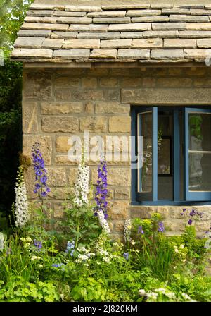 Delphinium autour d'une fenêtre dans le Yorkshire Bienvenue au jardin conçu par Mark Gregory au RHS Chelsea Flower Show 2019, Londres, Royaume-Uni Banque D'Images