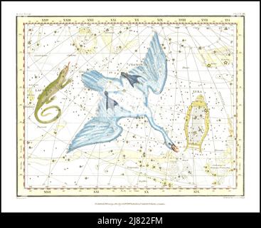 Alexander Jamieson - carte en étoile montrant les constellations Cygnus, Lyra et Lacerta - 1822 Banque D'Images