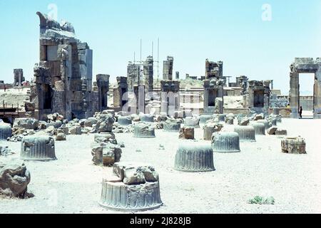 Persepolis, Iran - vue sur les bases de colonnes dans la salle du trône, également connue sous le nom de salle des cent colonnes, située dans les ruines de l'ancienne ville de Persepolis, capitale cérémonielle de l'Empire des Achaéménides, dans la province de Fars, en Iran. Archiver l'image prise en 1976 Banque D'Images