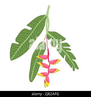 Heliconia bihai feuilles et fleurs. Fleur tropicale en fleurs. Plante d'été exotique. Pour les affiches de cartes, les illustrations vectorielles. Illustration de Vecteur