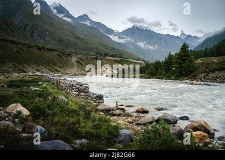 La rivière Baspa flanquée de rochers, d'arbres et de l'Himalaya avec des sommets enveloppés dans des nuages sous ciel couvert en été à Chitkul, en Inde. Banque D'Images