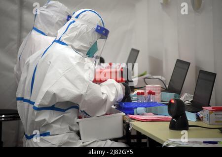 Pékin, Chine. 12th mai 2022. Les membres du personnel travaillent dans un laboratoire d'essais gonflables COVID-19 dans le district de Shunyi, à Beijing, capitale de la Chine, le 12 mai 2022. Un laboratoire d'essais gonflables COVID-19 a été récemment mis en service dans le district de Shunyi. Le laboratoire nouvellement installé, avec une capacité de test quotidienne de 100 000 tubes, couvre la demande de tests de diverses villes de Shunyi, ainsi que des régions dans d'autres districts comme Miyun et Tongzhou. Crédit: REN Chao/Xinhua/Alay Live News Banque D'Images