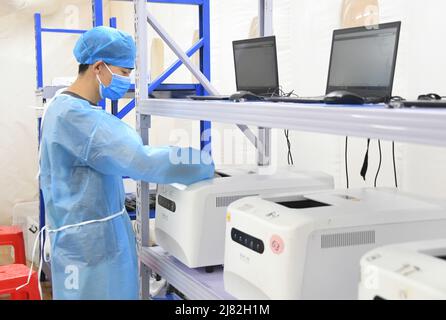 Pékin, Chine. 12th mai 2022. Un membre du personnel travaille dans un laboratoire d'essais gonflables COVID-19 dans le district de Shunyi, à Beijing, capitale de la Chine, le 12 mai 2022. Un laboratoire d'essais gonflables COVID-19 a été récemment mis en service dans le district de Shunyi. Le laboratoire nouvellement installé, avec une capacité de test quotidienne de 100 000 tubes, couvre la demande de tests de diverses villes de Shunyi, ainsi que des régions dans d'autres districts comme Miyun et Tongzhou. Crédit: REN Chao/Xinhua/Alay Live News Banque D'Images