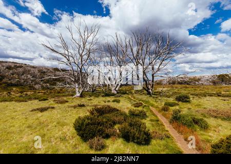 Wallace Hut près de Falls Creek en Australie Banque D'Images