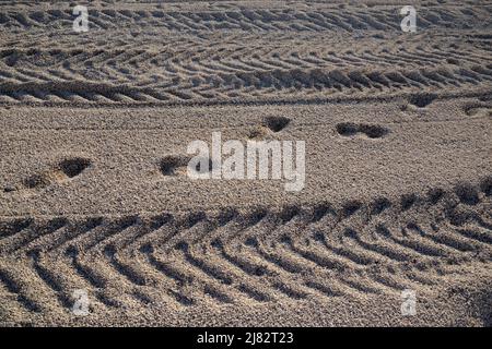 Empreintes humaines et pistes de machines dans le sable. Banque D'Images