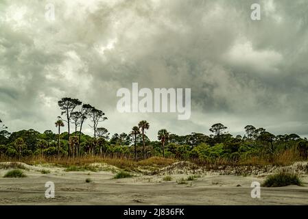 Ciel nuageux sur les dunes de la côte de Caroline du Sud, la végétation et les arbres, Hunting Island Banque D'Images