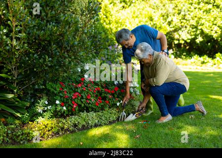 Femme biraciale senior avec homme senior tenant la truelle et les outils de fourche tout en jardinant les plantes dans la cour Banque D'Images