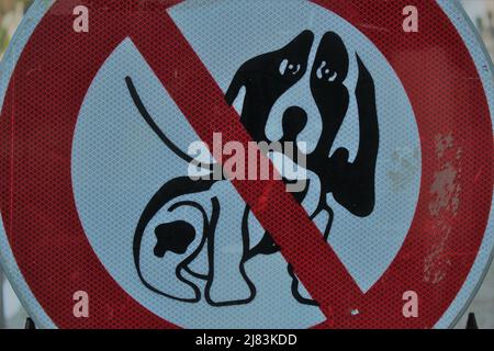 Signe mignon no dogs allowed avec un motif de triste chien courant sur le devant Banque D'Images