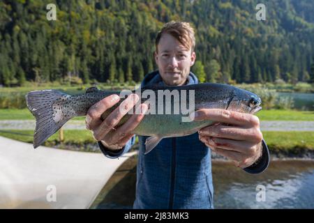 Homme tenant la truite pêchée, pêche Banque D'Images