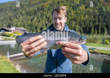 Homme tenant la truite pêchée, pêche Banque D'Images