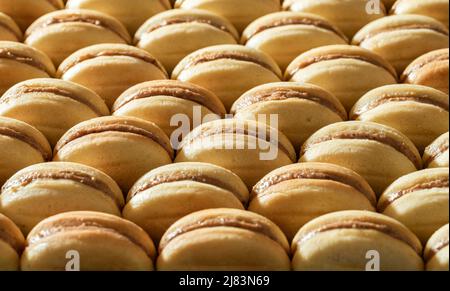 Biscuits en forme de noyer remplis de crème de dulce de leche. Petits gâteaux faits maison alignés sur la table, vue latérale. Banque D'Images