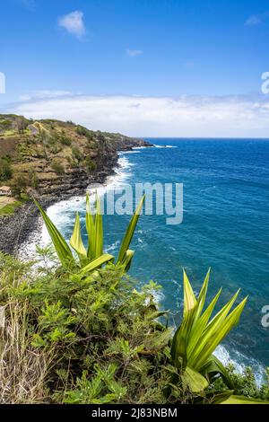 Kuestenabschnitt BEI Kahakuloa Bay, Maui, Hawaii, États-Unis Banque D'Images