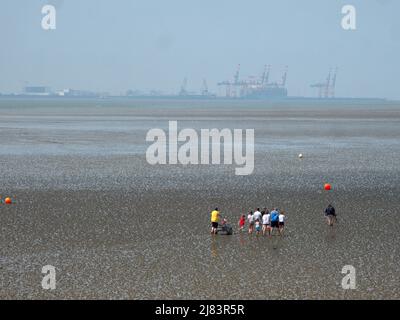 Partez pour une promenade guidée sur la côte de Butjadingen dans le parc national de la mer des Wadden en Basse-Saxe Banque D'Images