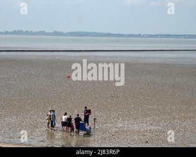 Partez pour une promenade guidée sur la côte de Butjadingen dans le parc national de la mer des Wadden en Basse-Saxe Banque D'Images