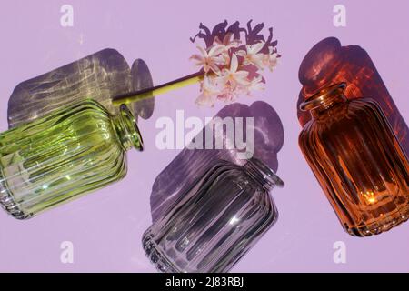 Les vases en verre reflètent l'effet d'ombre solaire sur un fond violet. Jeu d'ombres et de lumière du soleil. Concept de la vie d'été. Banque D'Images