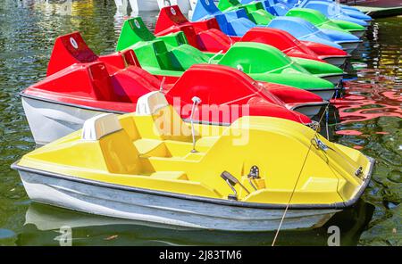 Des catamarans en plastique coloré sont en rangée sur la surface de l'eau de l'étang de la ville. Vacances d'été sur l'eau. Divertissement Banque D'Images