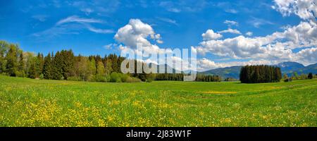 DE - BAVIÈRE: Grand ciel sur Loisach Moor à Oberbayern (vue panoramique HDR) Banque D'Images