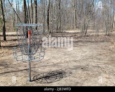 Panier de golf Frisbee vide dans les bois du début du printemps Banque D'Images