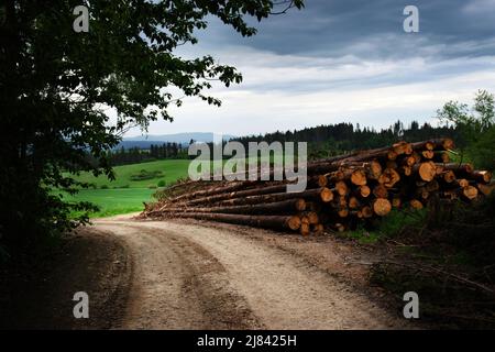 paysage arrière-plan une décharge en bois sur le bord de la route Banque D'Images